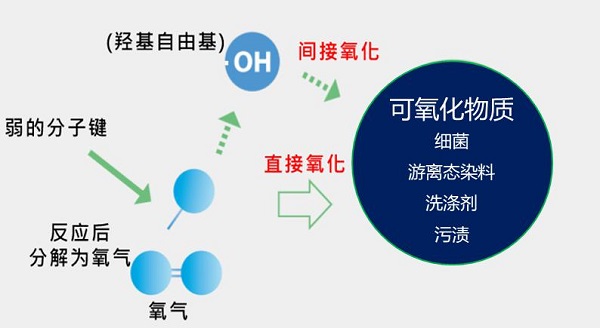 圖片8.jpg