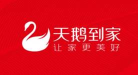 天鵝到家