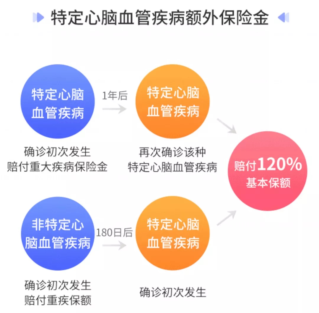 特定心腦血管.webp.jpg