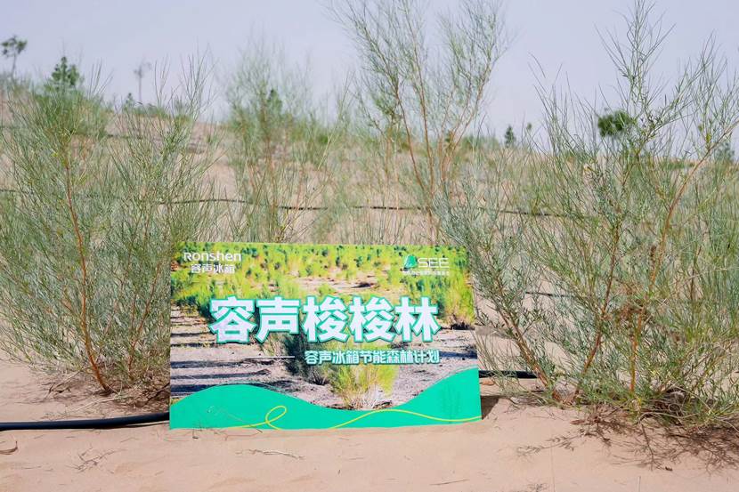 樹林邊的空地上
描述已自動(dòng)生成